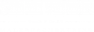 Stein Malerfachbetrieb – professionelles Logo für einen Malerfachbetrieb, spezialisiert auf hochwertige Farb- und Designlösungen.