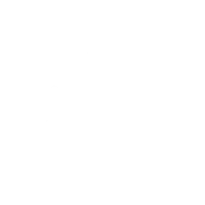 Project Beast – modernes Logo für eine Fitness- und Coaching-Plattform mit Fokus auf individuelle Transformation.